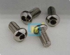 不锈钢内六角圆头螺钉