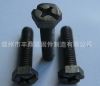 Phillips & Slotted Hex Bolt