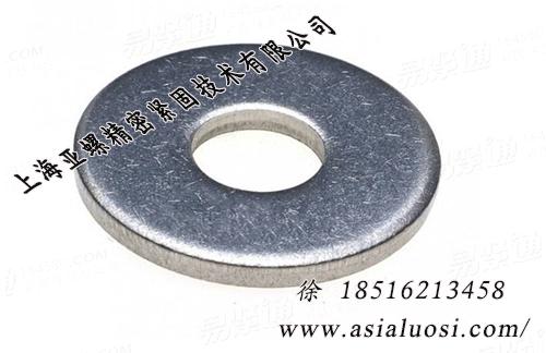A2-50不锈钢小平垫JIS1256