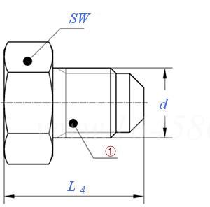DIN  8912 (P2.1) - 1990 擴口式管接頭用管塞 NPT螺紋