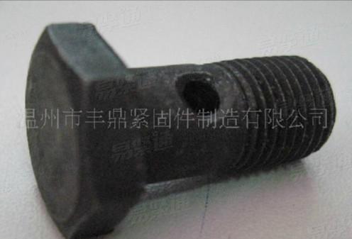 Outer Hex Bolt with Hole