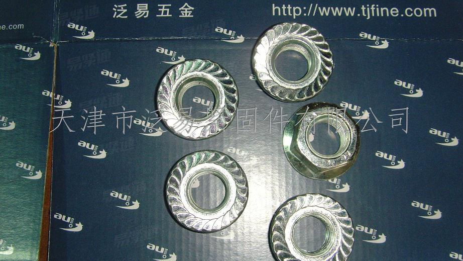 316 stainless steel hex flange surface nut