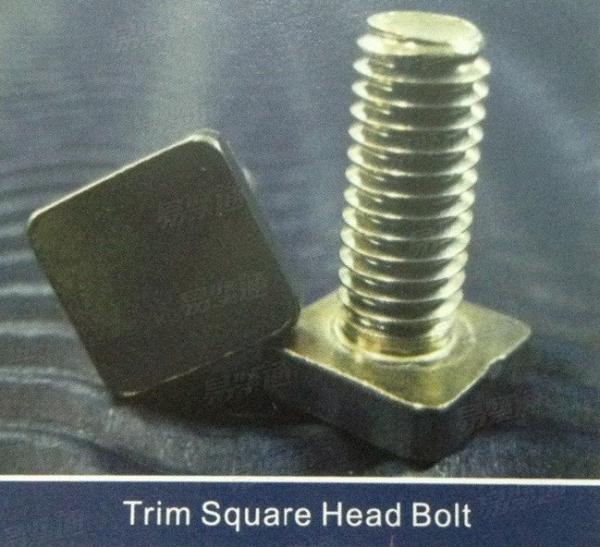 Trim Square head bolt