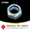 10級DIN982尼龍螺母 尼龍鎖緊螺母 尼龍防松螺母