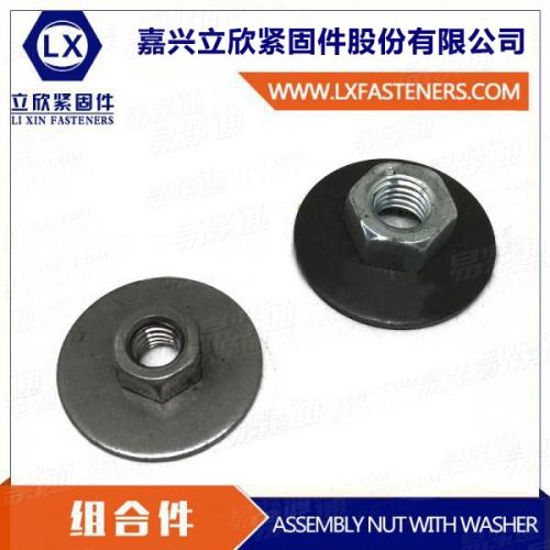 ASSEMBLY NUT WITH WASHER