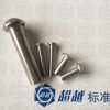 供應不銹鋼201 304 316 平頭鉚釘，半圓頭鉚釘，扁圓頭鉚釘