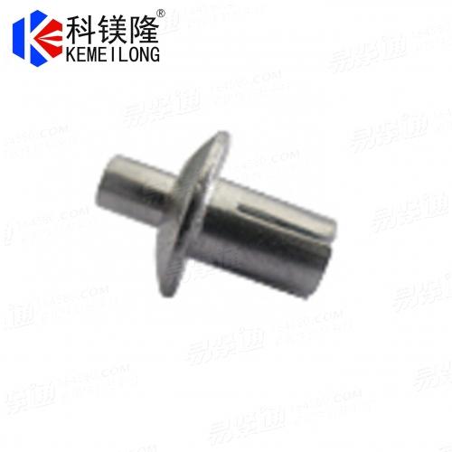 Stainless Steel Drive Rivets