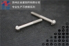 不鏽鋼防盜螺絲 防盜H槽螺絲