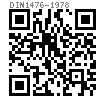 DIN  1476 - 1978 圆头槽销