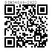 DIN  34800 - 2022 梅花頭小法蘭螺栓