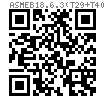 ASME B 18.6.3 (T29+T40) - 2013 无槽或开槽六角头以及大六角头 AB ABR自攻螺钉