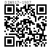 DIN  917 - 1987 低型六角蓋形螺母