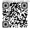 ASME B 18.6.3 (H9B-VI) - 2024 梅花槽凹穴六角头以及大六角头螺钉