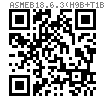 ASME B 18.6.3 (H9B-VI+T1B) - 2024 梅花槽六角頭自攻螺釘-B牙,BP牙