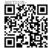 GOST  2235 - 1977 高強度螺栓 B級