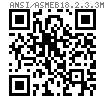 ASME/ANSI B 18.2.3.3M - 2007 (R2014) 米制粗六角螺釘 (F568M, F738M, F468M)