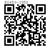 BS  450 - 1958 英制十字槽半沉頭螺釘 - B.S.W. & B.S.F. 螺紋 [Table 3]