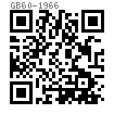 GB  60 - 1966 六角槽型扁螺母
