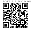 ASME B 18.6.5M - 2000 (R2010) 米制四方槽盘头自攻螺钉 [Table 19]