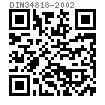 DIN  34818 - 2002 簧片螺母