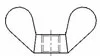蝶形螺母（圆翼）