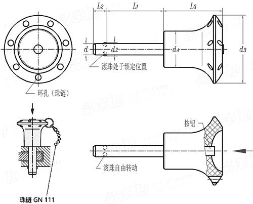 YJT  19086 (-2) (GN 113.6) 帶塑料捏手不鏽鋼滾珠鎖銷